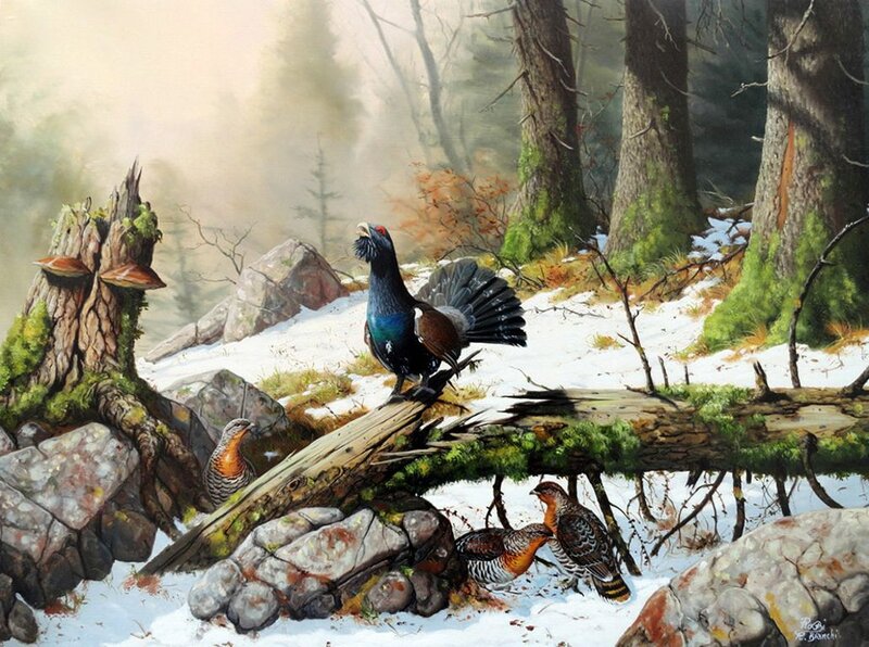 Black Grouse in Forest — Green