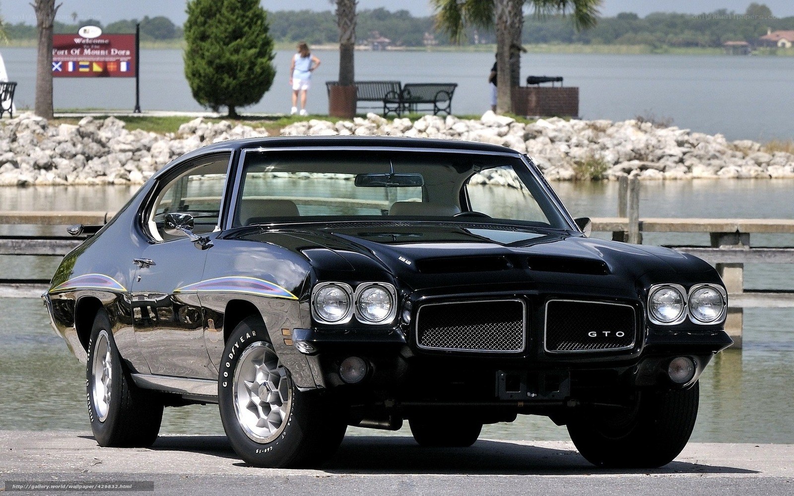 Black GTO muscle car by water