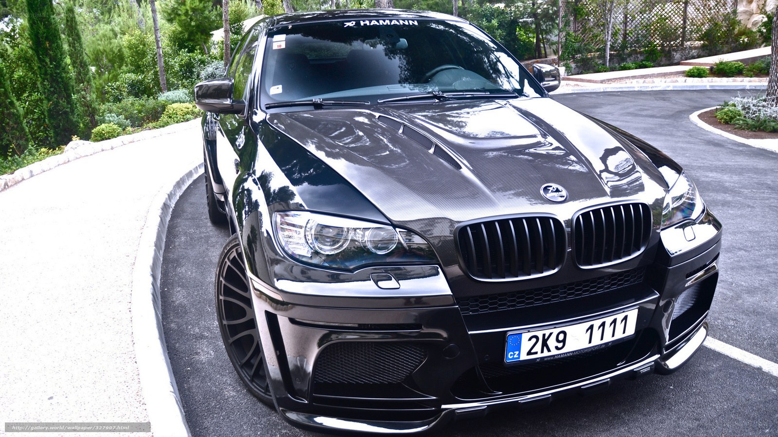 Black Hamann BMW X6