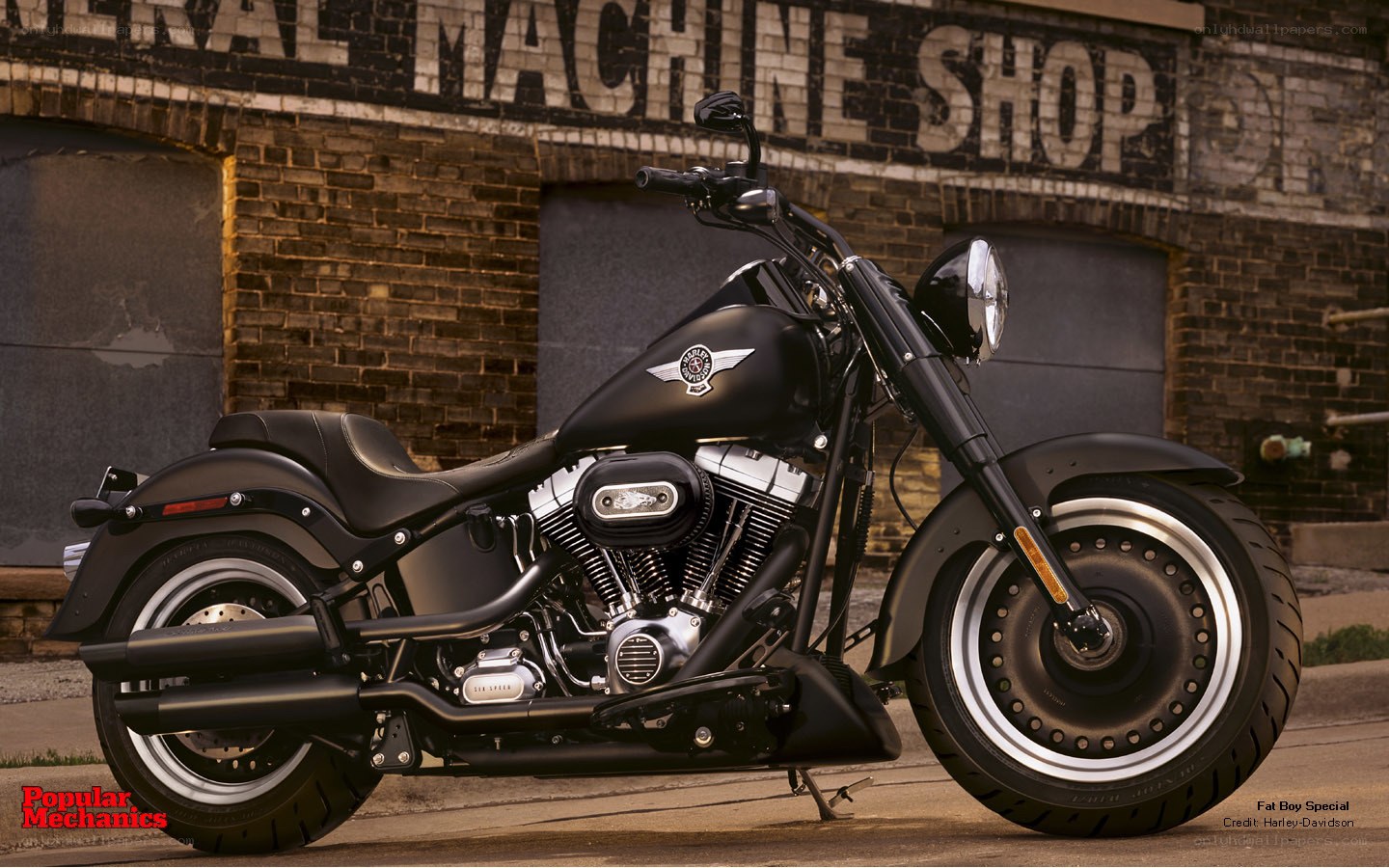 Black Harley-Davidson Fat Boy