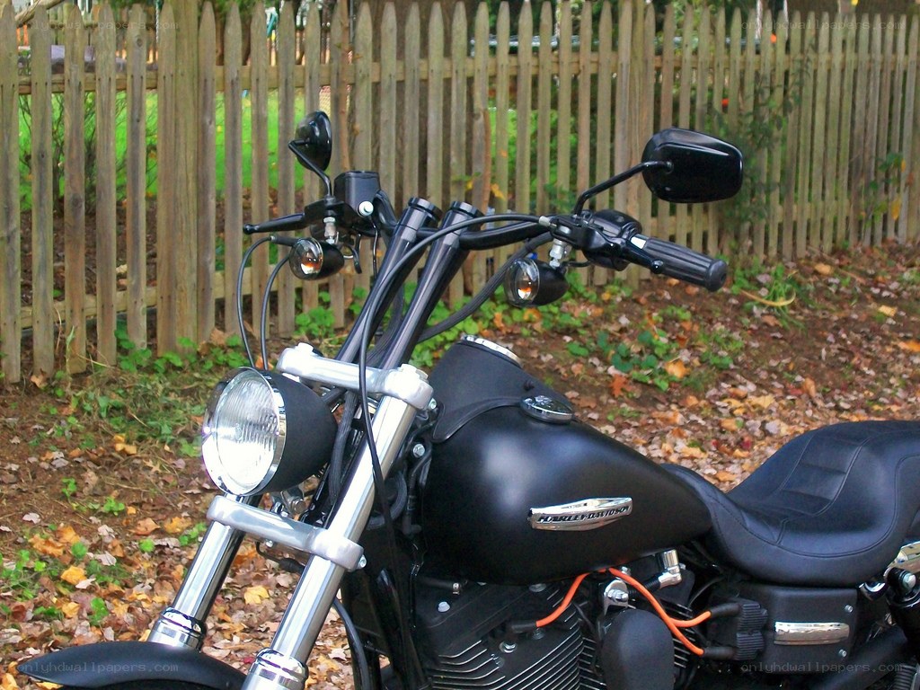 Black Harley-Davidson motorcycle
