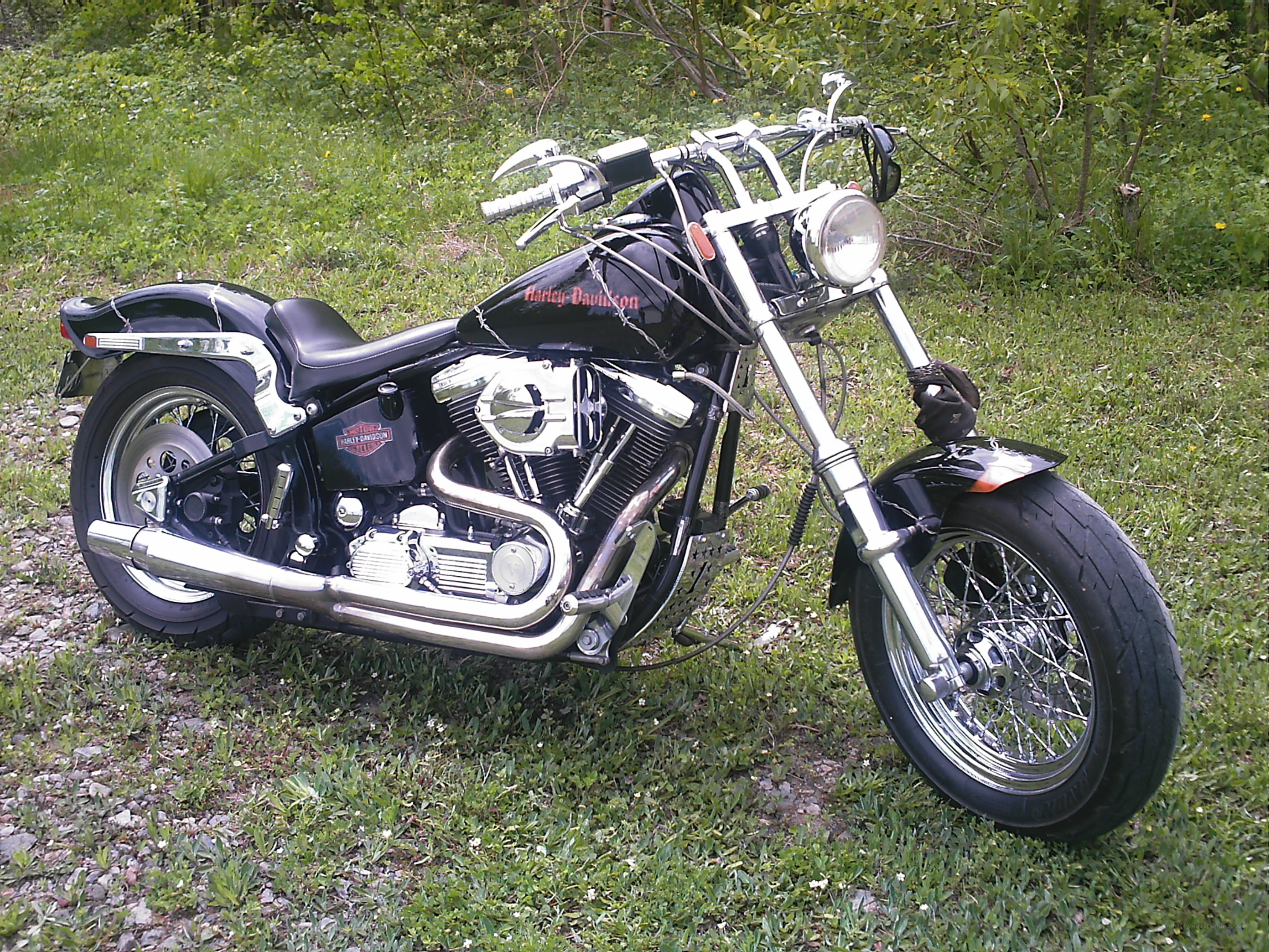 Black Harley-Davidson motorcycle