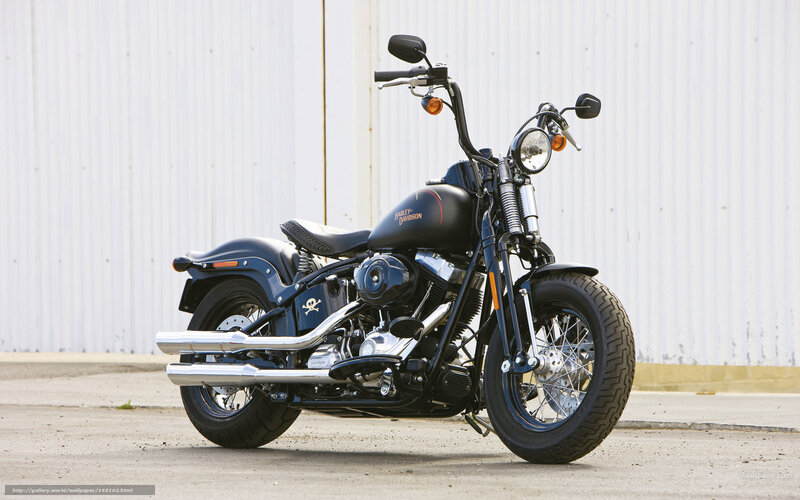 Black Harley-Davidson motorcycle