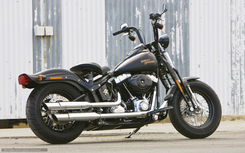 Black Harley-Davidson motorcycle