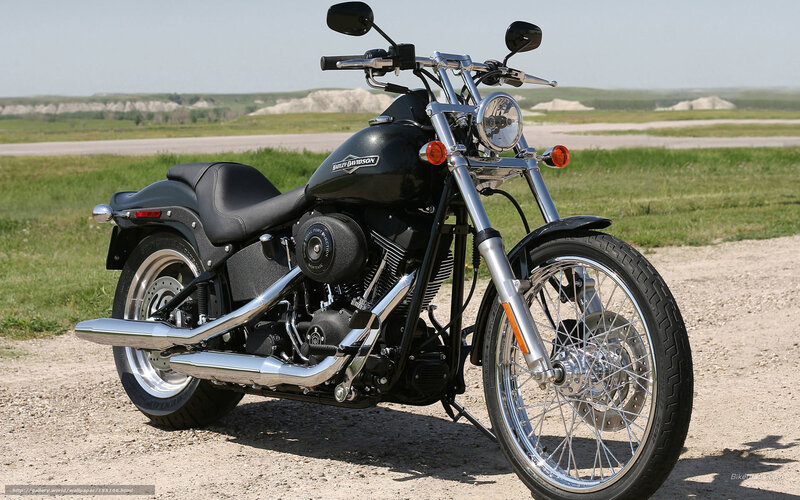 Black Harley-Davidson motorcycle