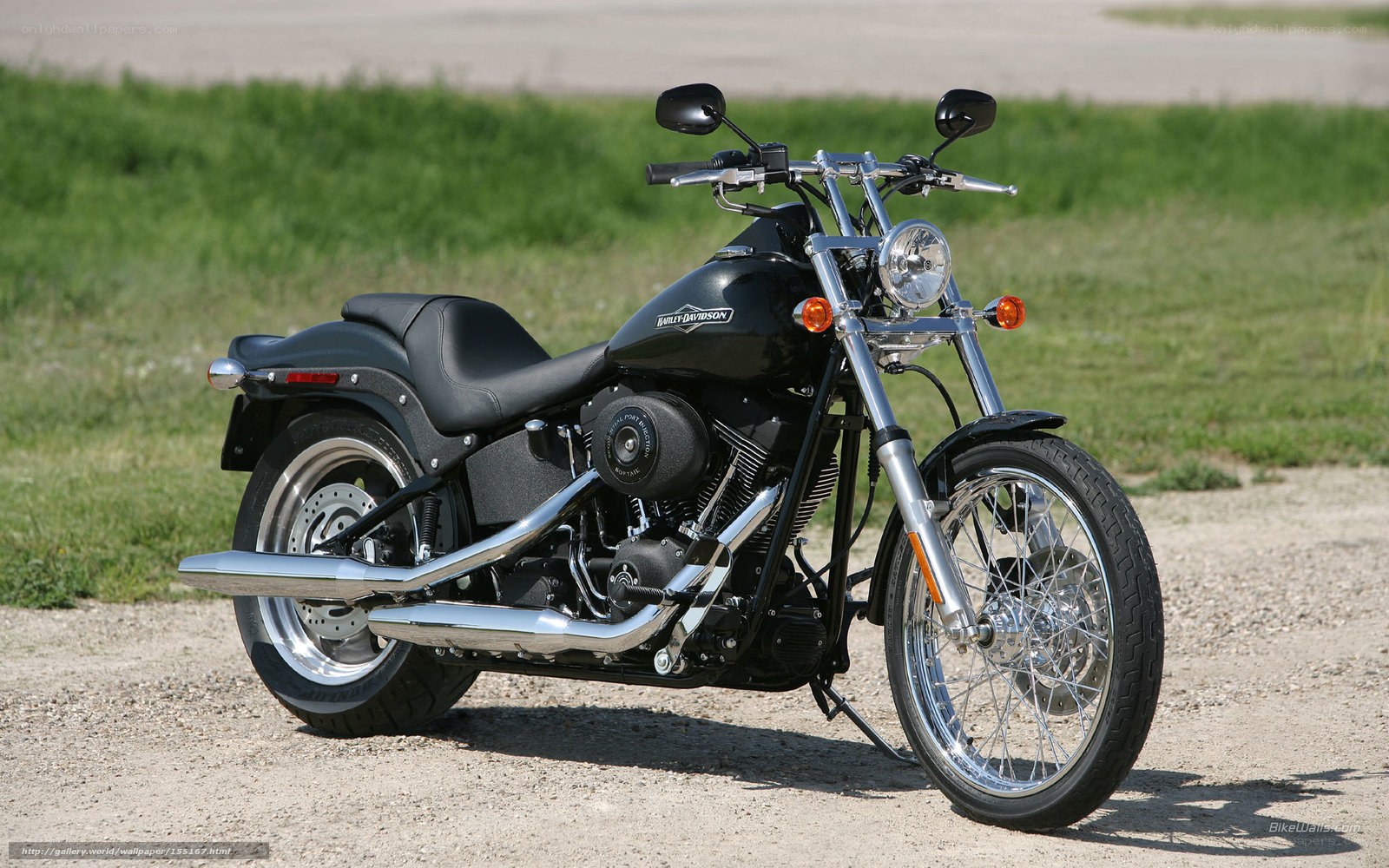 Black Harley-Davidson motorcycle