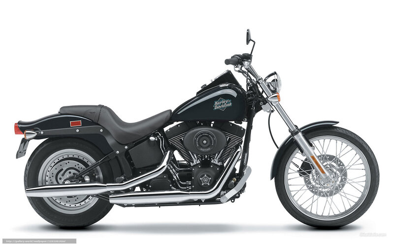 Black Harley-Davidson motorcycle