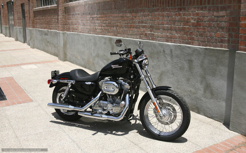 Black Harley-Davidson motorcycle