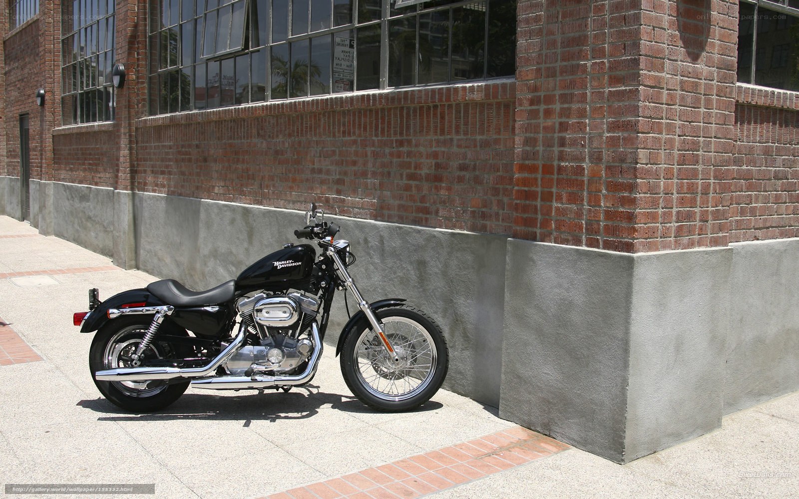 Black Harley-Davidson motorcycle