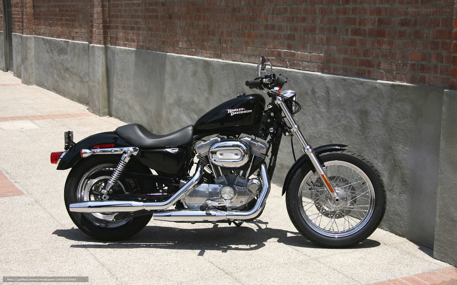 Black Harley-Davidson motorcycle