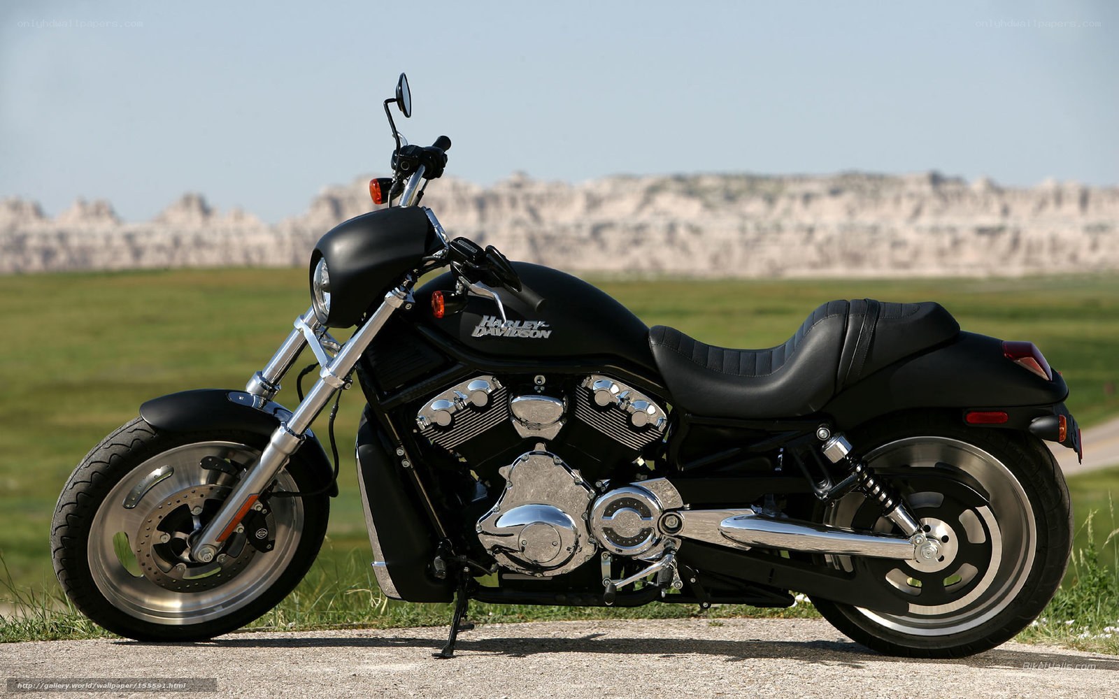 Black Harley-Davidson motorcycle