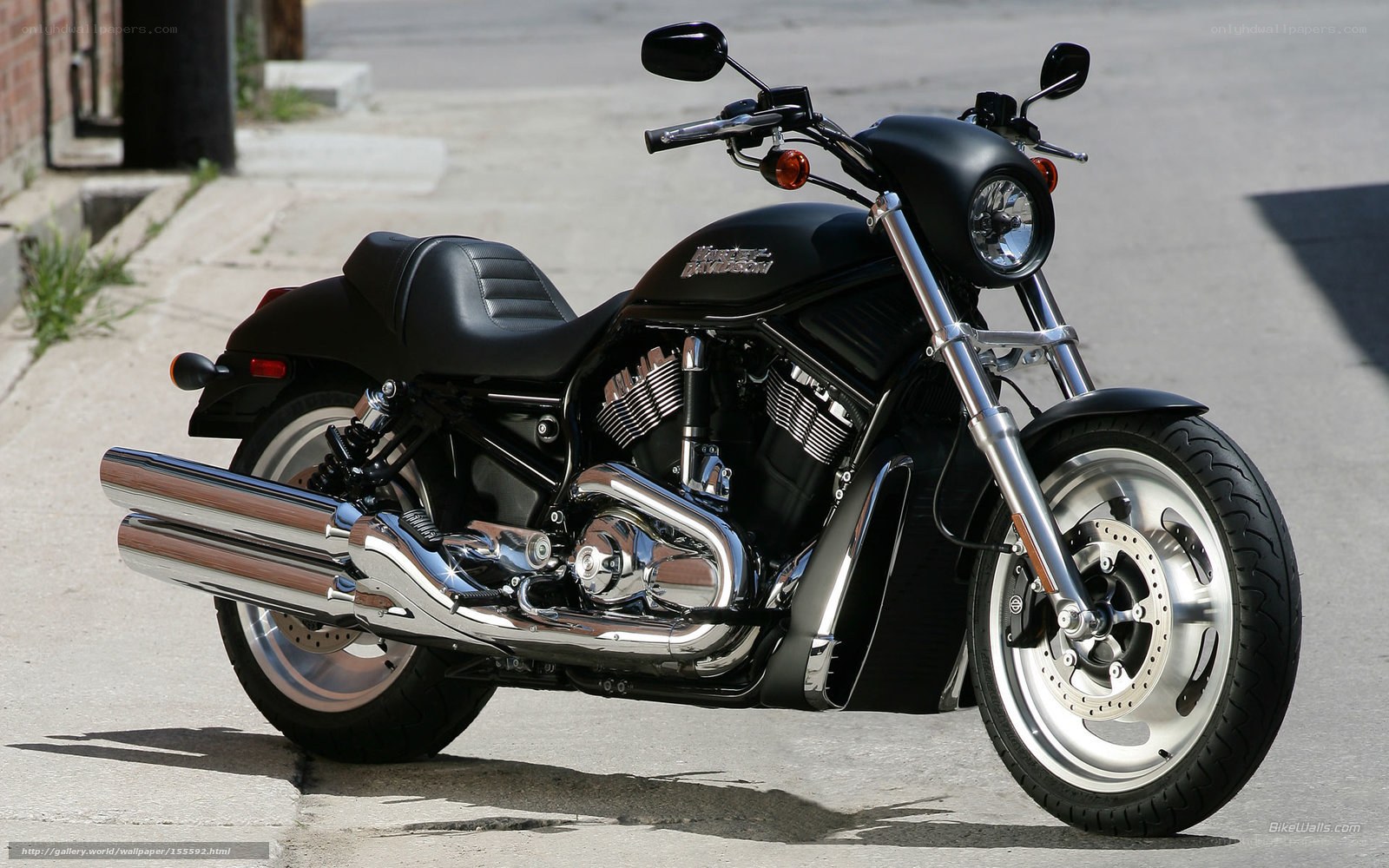 black harley-davidson motorcycle