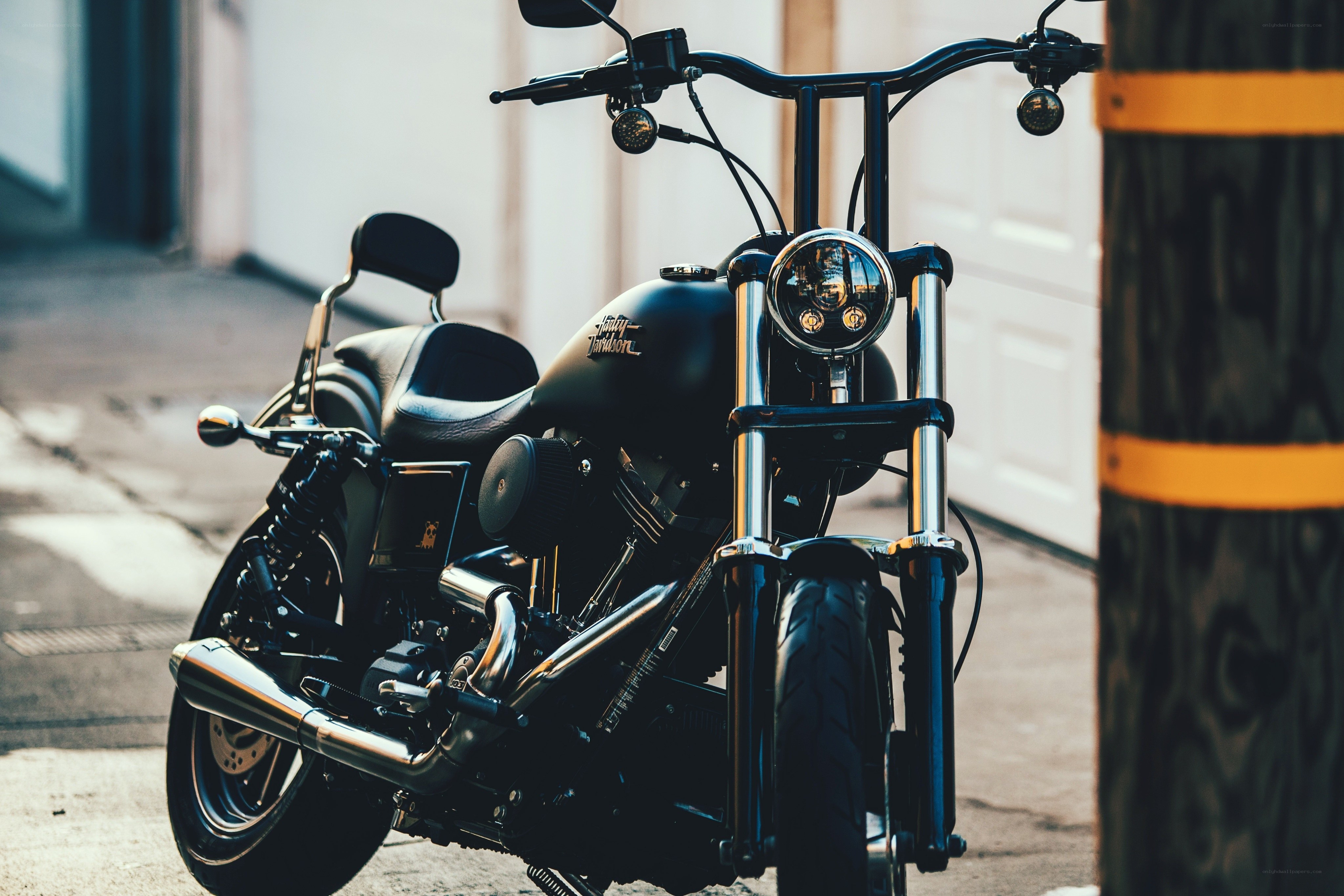 Black Harley-Davidson motorcycle