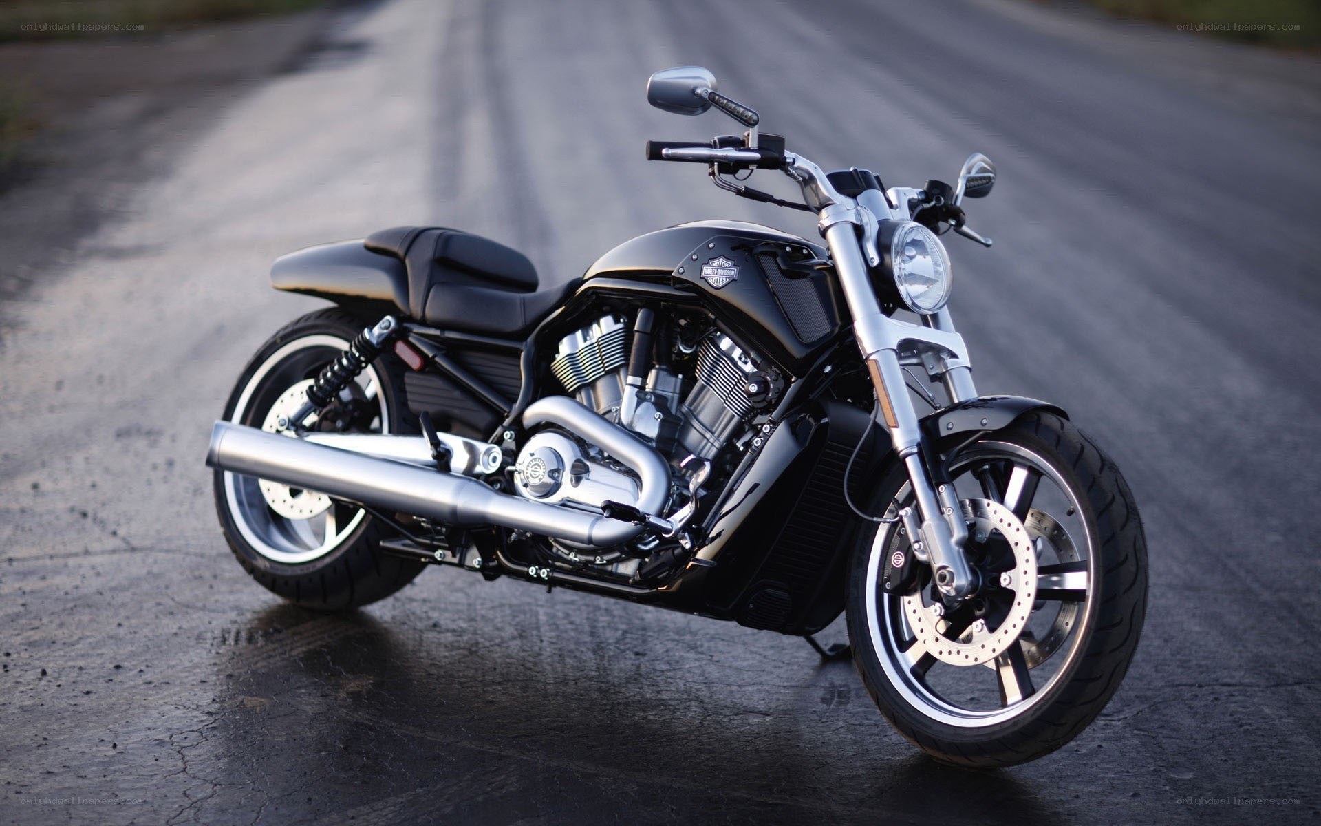 black harley-davidson motorcycle