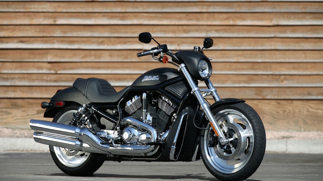 black harley-davidson motorcycle