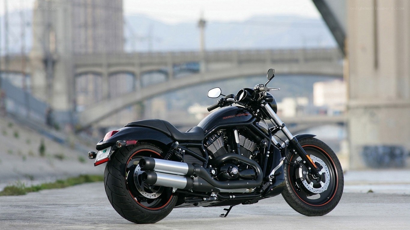 Black Harley-Davidson motorcycle