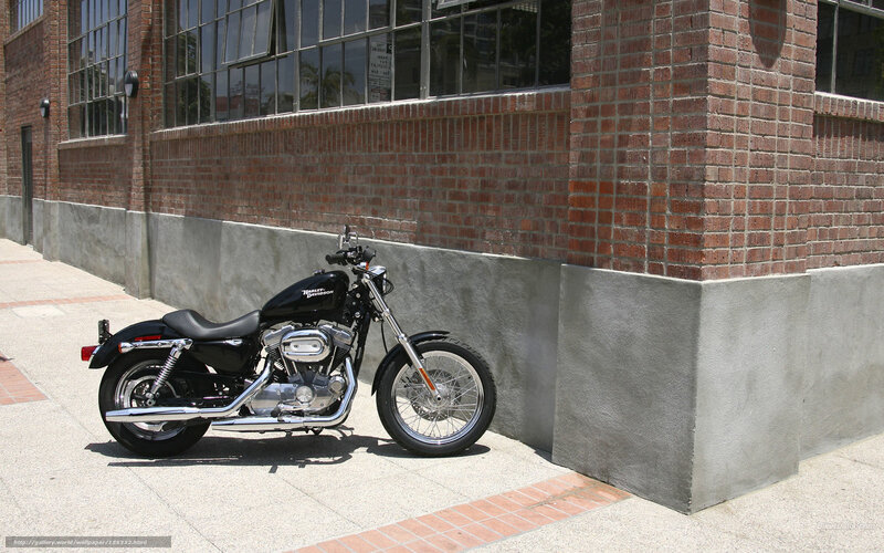 Black Harley-davidson Motorcycle — Calm, Afternoon, Photograph, Brick Building, Sidewalk