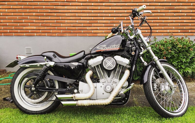 Black Harley-davidson Motorcycle — Calm, Afternoon, Photograph, Brick Wall, Green Bush