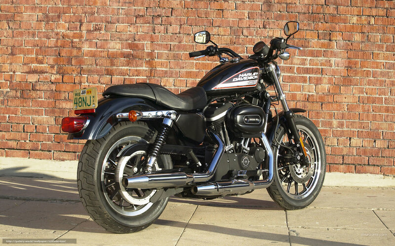 Black Harley-davidson Motorcycle — Calm, Afternoon, Photograph, Brick Wall, License Plate