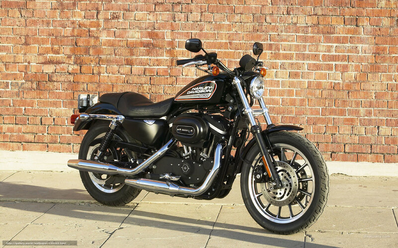 Black Harley-davidson Motorcycle — Calm, Afternoon, Photograph, Brick Wall, Sidewalk, Sunlight