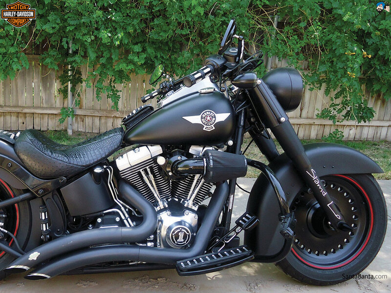 Black Harley-davidson Motorcycle — Calm, Afternoon, Photograph, Fence, Trees