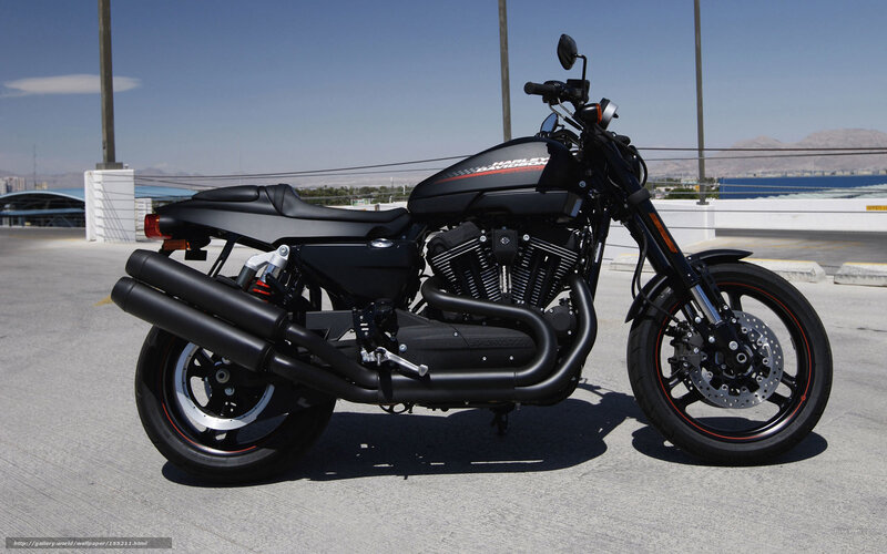Black Harley-davidson Motorcycle — Calm, Afternoon, Photograph, Parking Lot