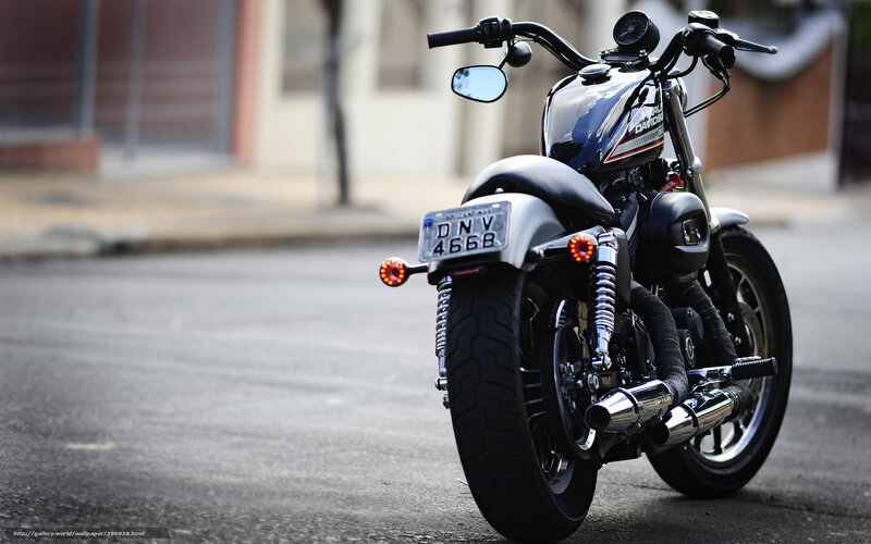 Black Harley-davidson Motorcycle — Calm, Afternoon, Photograph, Street