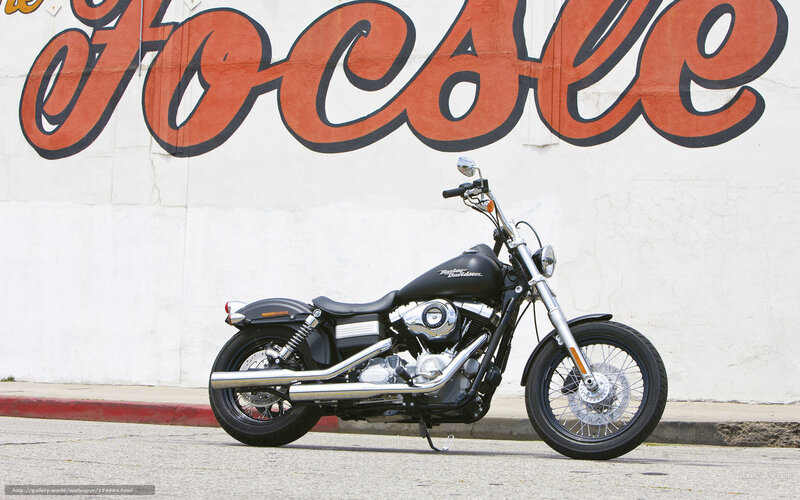 Black Harley-davidson Motorcycle — Calm, Afternoon, Photograph, Wall