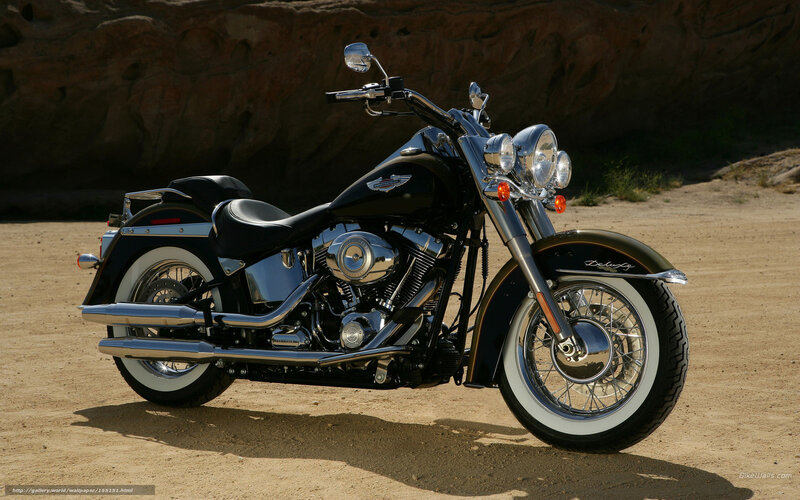 Black Harley-davidson Motorcycle — Dramatic, Afternoon, Photograph, Dirt Ground