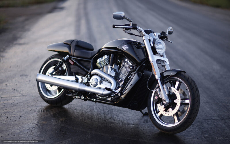Black Harley-davidson Motorcycle — Dramatic, Sunset, Photograph, Road