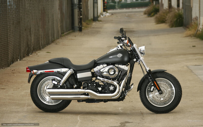 Black Harley-davidson Motorcycle — Neutral, Afternoon, Photograph, Alley