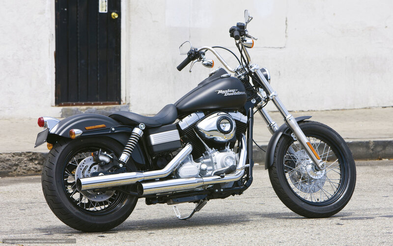 Black Harley-davidson Motorcycle — Neutral, Afternoon, Photograph, Building, Door