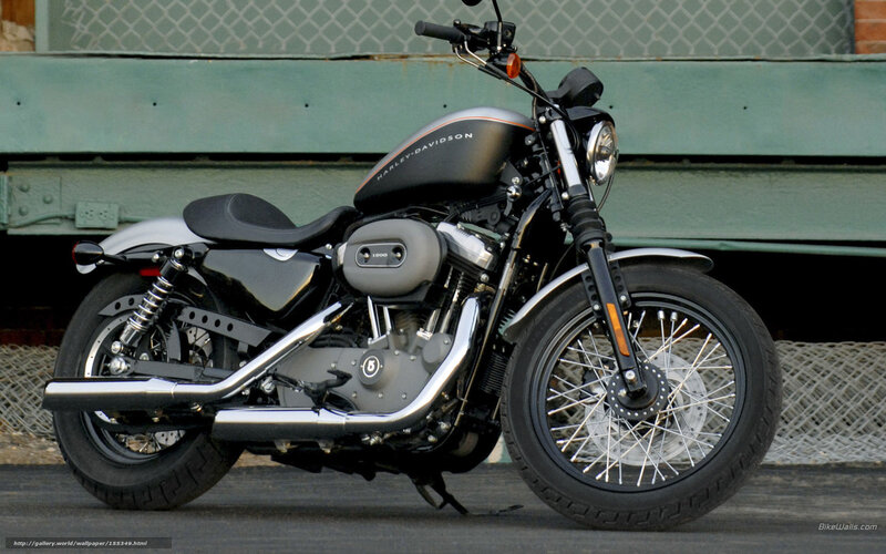 Black Harley-davidson Motorcycle — Neutral, Afternoon, Photograph, Chain-link Fence