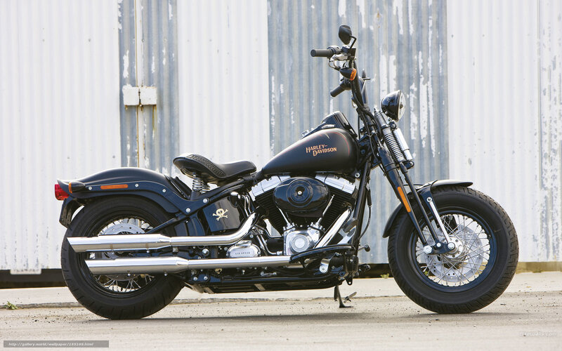 Black Harley-davidson Motorcycle — Neutral, Afternoon, Photograph, Corroded Wall, Concrete Ground