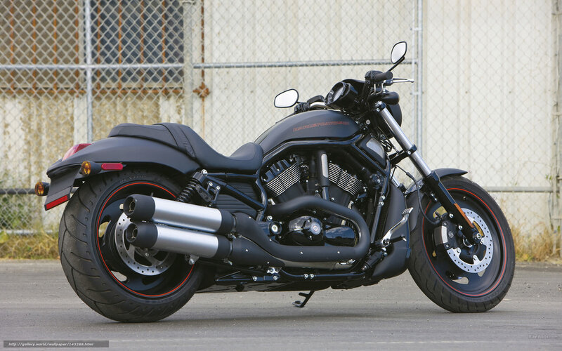 Black Harley-davidson Motorcycle — Neutral, Afternoon, Photograph