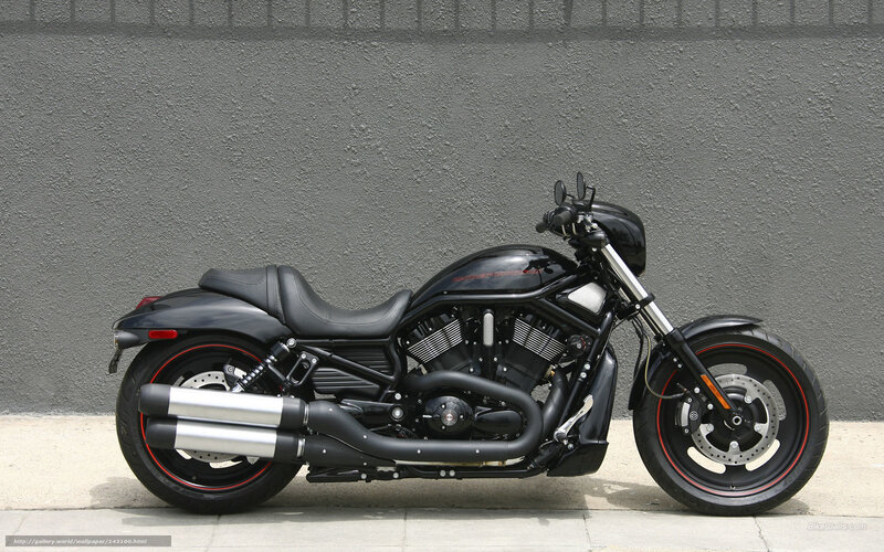 Black Harley-davidson Motorcycle — Neutral, Afternoon, Photograph, Wall, Sidewalk, Exhaust
