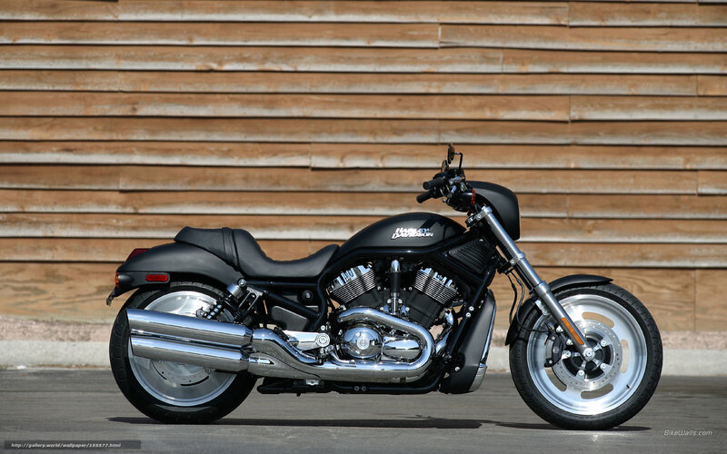 Black Harley-davidson Motorcycle — Neutral, Afternoon, Photograph, Wooden Wall, Exhaust Pipe