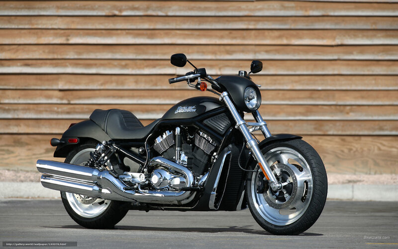 Black Harley-davidson Motorcycle — Neutral, Afternoon, Photograph, Wooden Wall