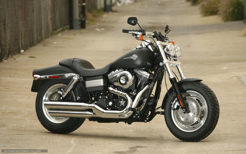 Black Harley-davidson Motorcycle — Neutral, Afternoon