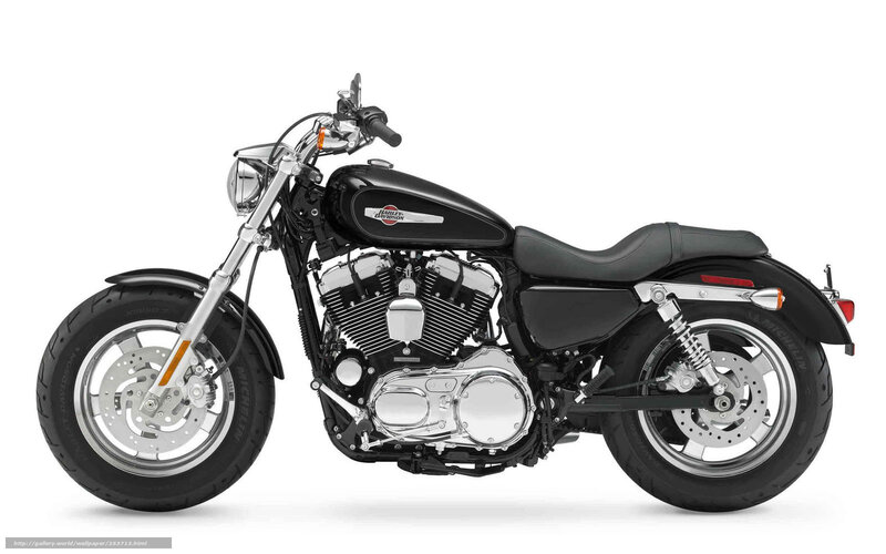 Black Harley-davidson Motorcycle — Neutral, Photograph, Engine, Seat, Wheels
