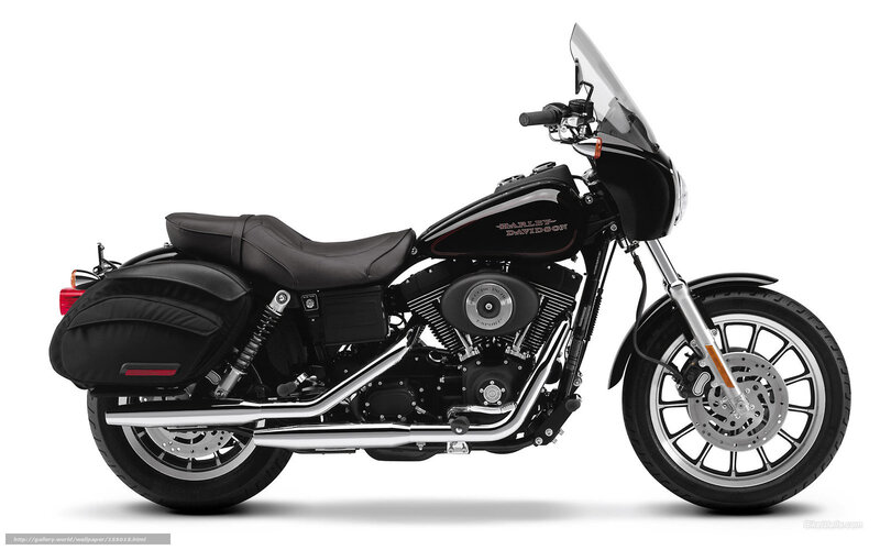 Black Harley-davidson Motorcycle — Neutral, Photograph, Saddlebags