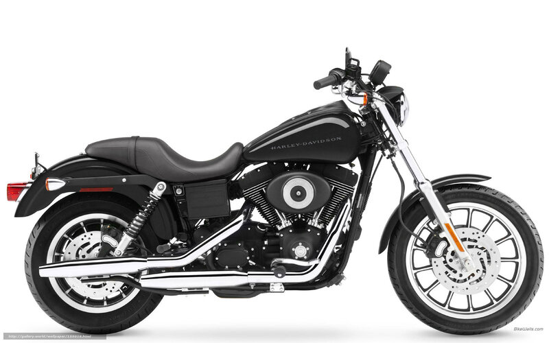 Black Harley-davidson Motorcycle — Neutral, Photograph, Seat, Engine, Exhaust