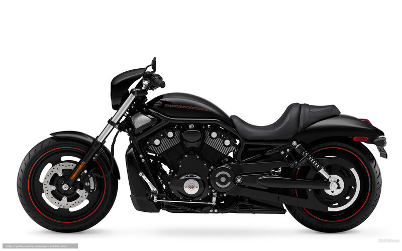 Black Harley-davidson Motorcycle — Neutral, Photograph, Seat, Engine