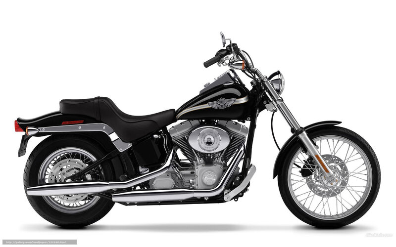 Black Harley-davidson Motorcycle — Neutral, Photograph, Seat, Engine, Wheels
