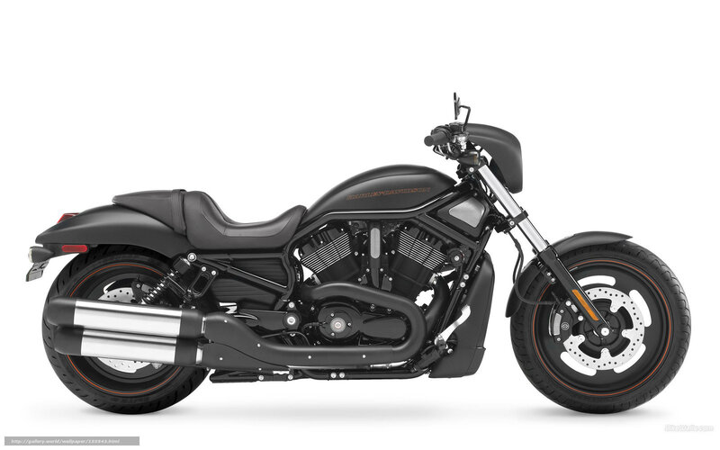 Black Harley-davidson Motorcycle — Neutral, Photograph, Seat, Exhaust, Engine