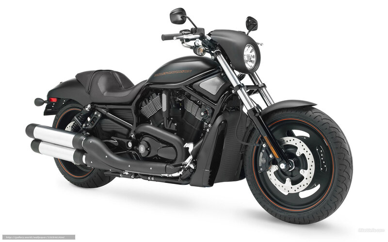 Black Harley-davidson Motorcycle — Neutral, Photograph, Seat, Exhaust Pipes, Headlight
