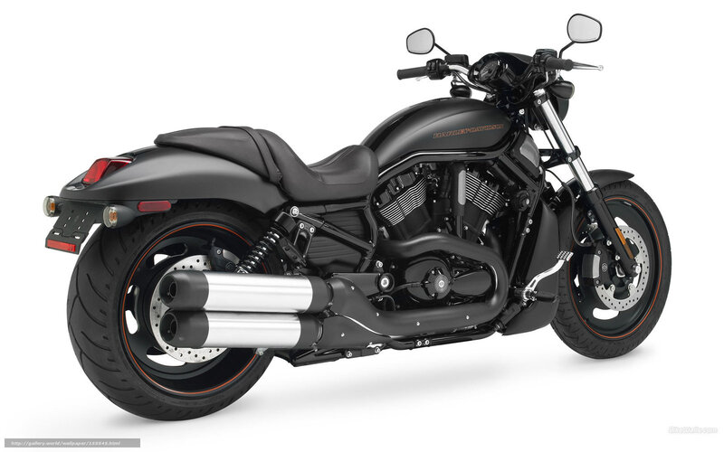 Black Harley-davidson Motorcycle — Neutral, Photograph, Seat, Exhaust Pipes, Wheels