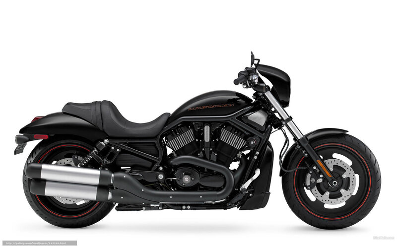 Black Harley-davidson Motorcycle — Neutral, Photograph, Seat, Exhaust