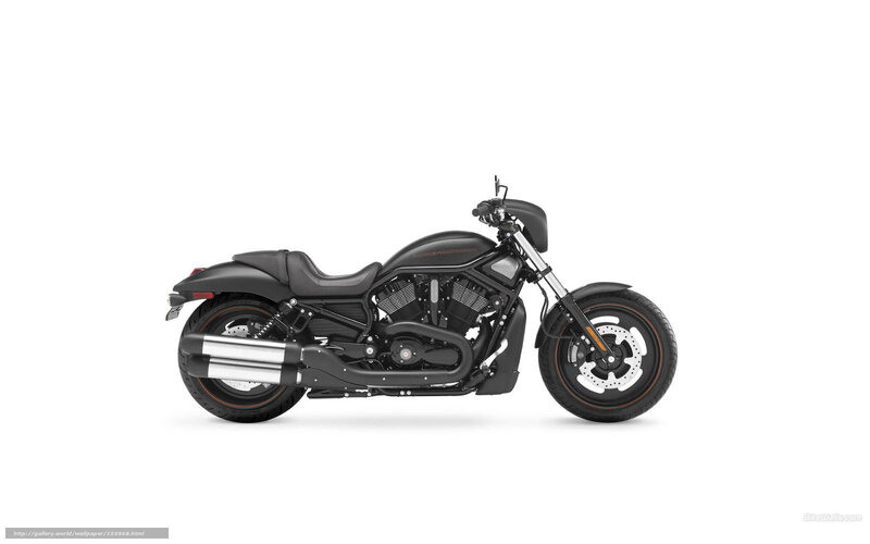 Black Harley-davidson Motorcycle — Neutral, Photograph, Seat, Exhaust, Wheel