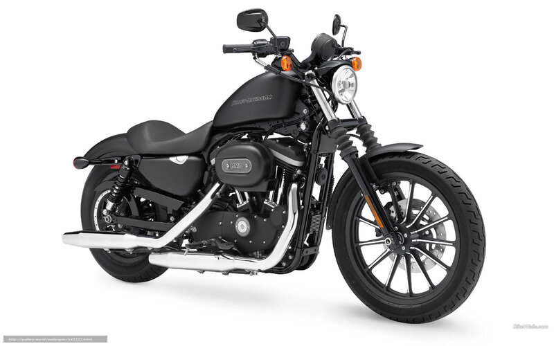 Black Harley-davidson Motorcycle — Neutral, Photograph, Seat, Headlight